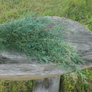 Bundle of Carolina sapphire greens on a wood table