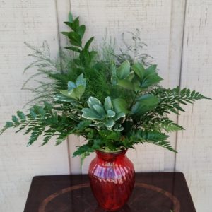 Fresh Greenery Garland - 1 Item - Plumosa Fern Garland - Potomac