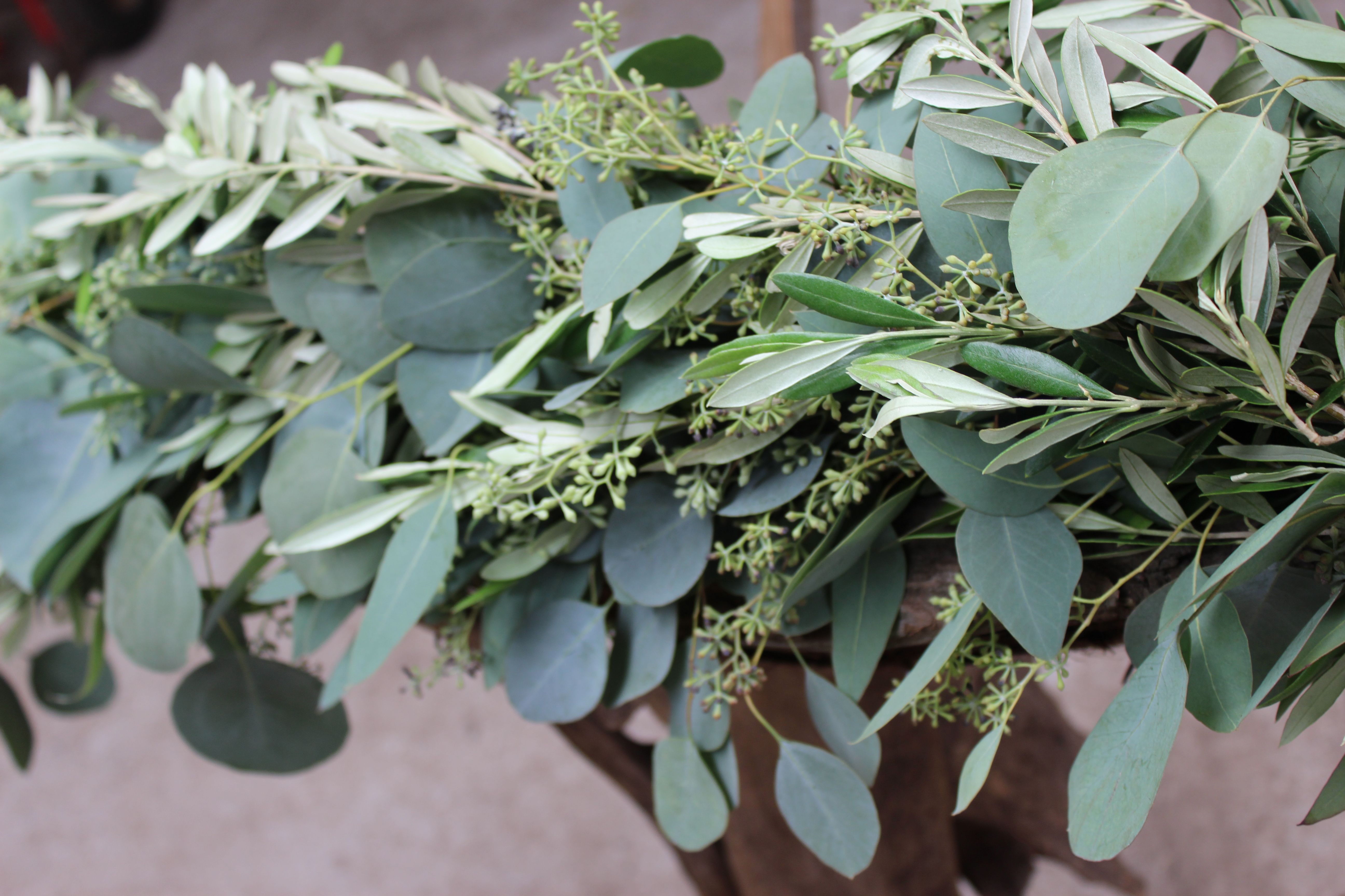 Tree Fern and Silver Dollar Eucalyptus Garland - Garlands - Flower
