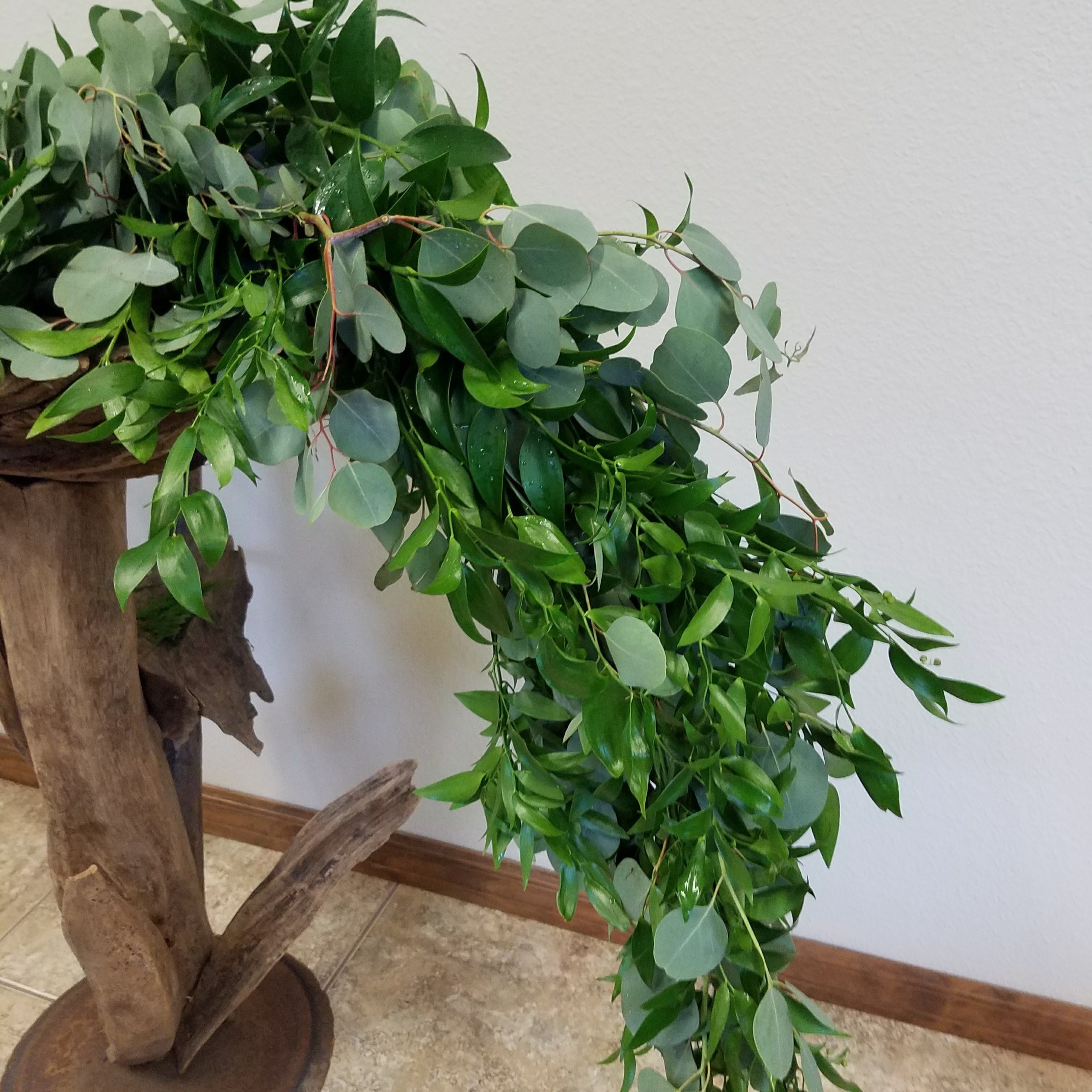 Olive, Podocarpus and Seeded Eucalyptus Garland