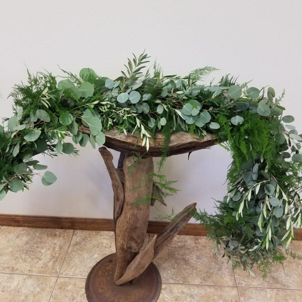 Eucalyptus, Olive & Plumosus - Image 3