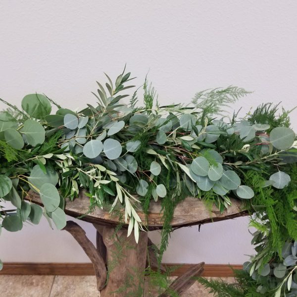 Eucalyptus, Olive & Plumosus