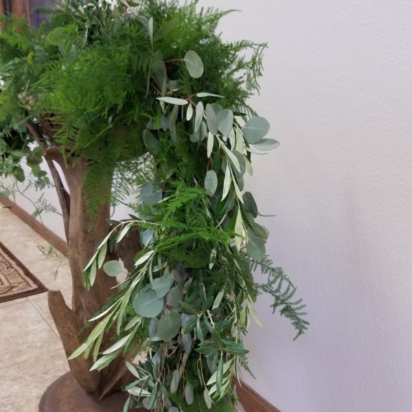 Eucalyptus, Olive & Plumosus - Image 2