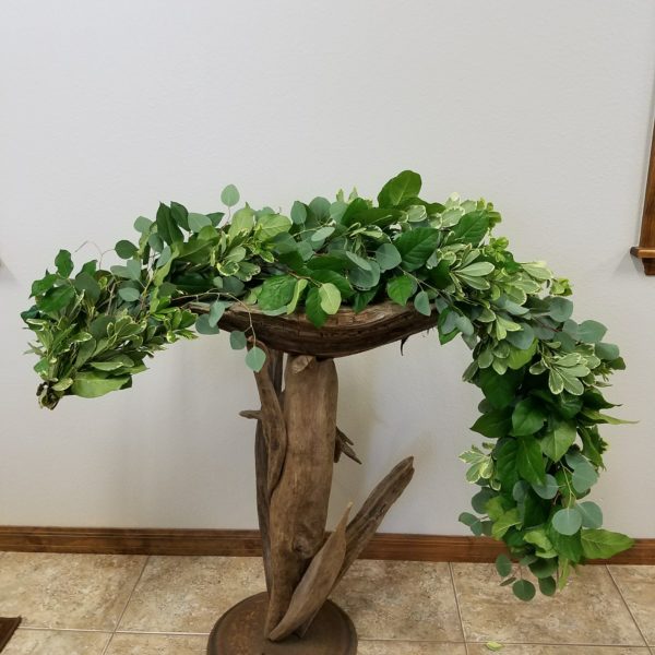 Eucalyptus, Pittosporum & Salal - Image 2