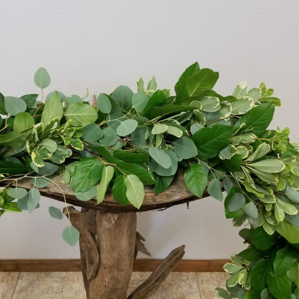 Eucalyptus, Pittosporum & Salal - Image 3