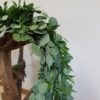 Eucalyptus & Italian Ruscus - Image 3
