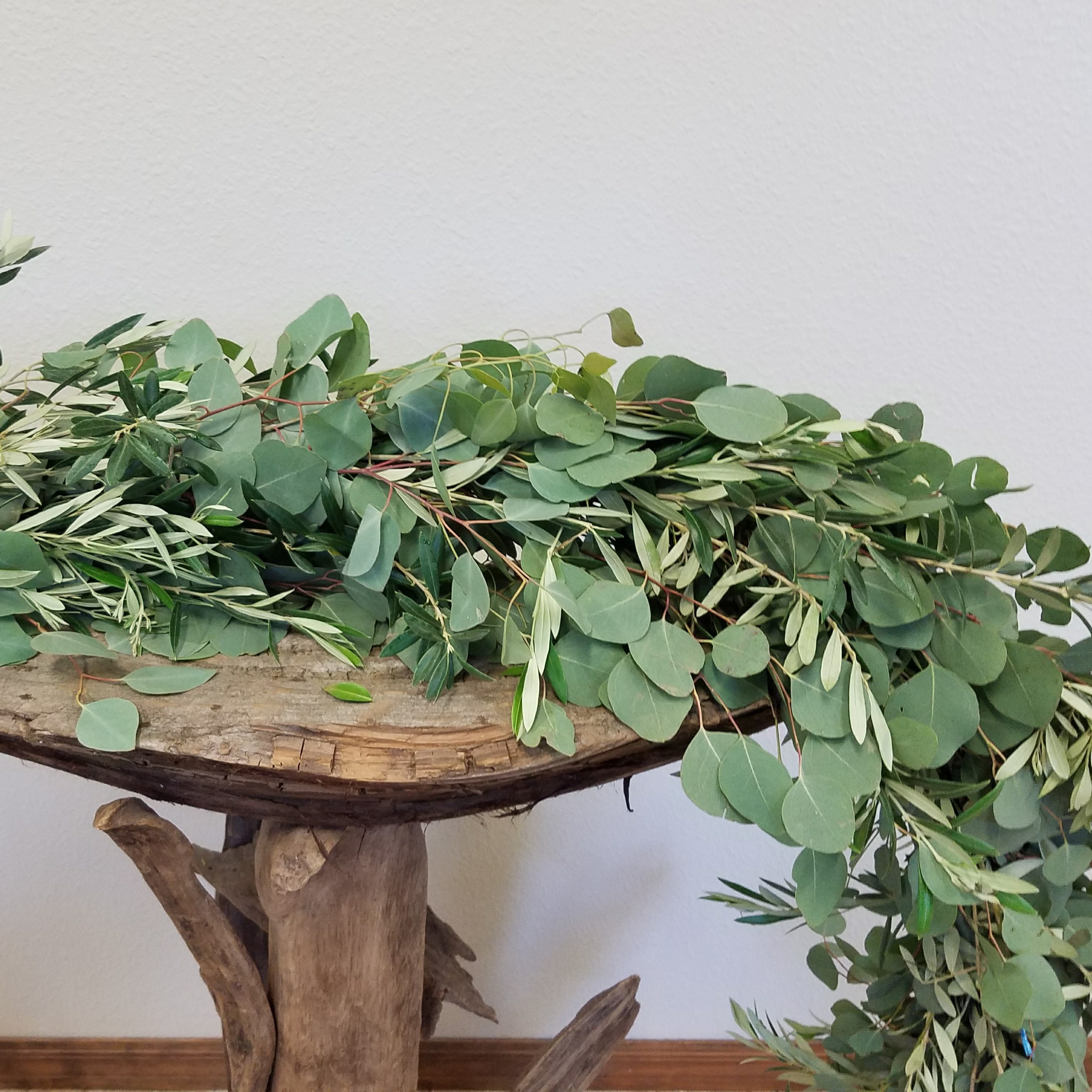 Real Olive Branches Fresh/Dry  Buy Online – Hello Eucalyptus