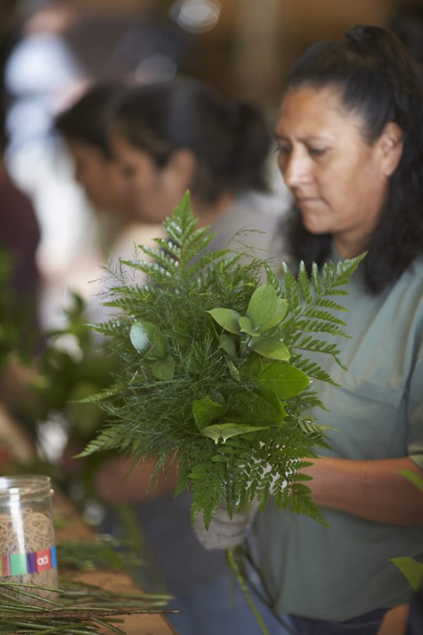 Wreaths and Garlands | Ferns and Foliage | Alpha Fern