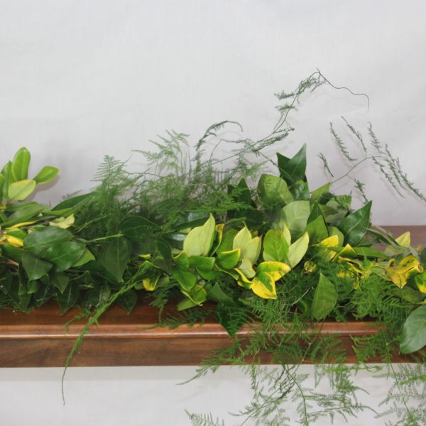 Cocculus, Ligustrum, Plumosus & Salal - Image 3