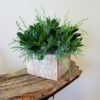 Woodland Planters - Image 3