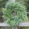 Southern Mixed Evergreen Round Wreaths - Image 2
