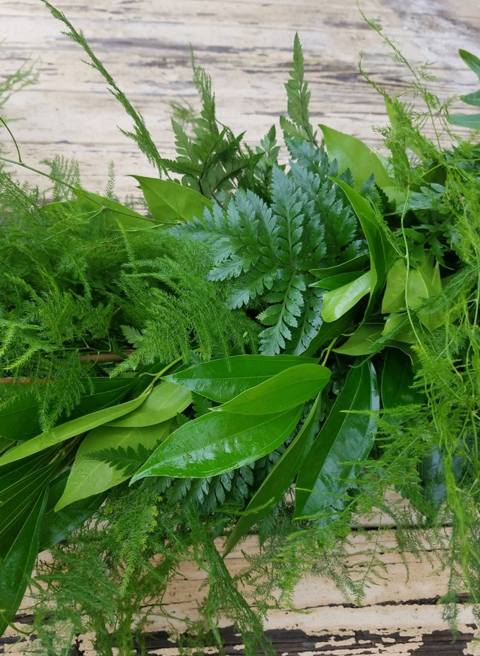 Wreaths and Garlands, Fresh-Cut Greenery Guide