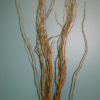 A collection of tall, thin, golden-brown Curly Willow branches stand upright in a vase.