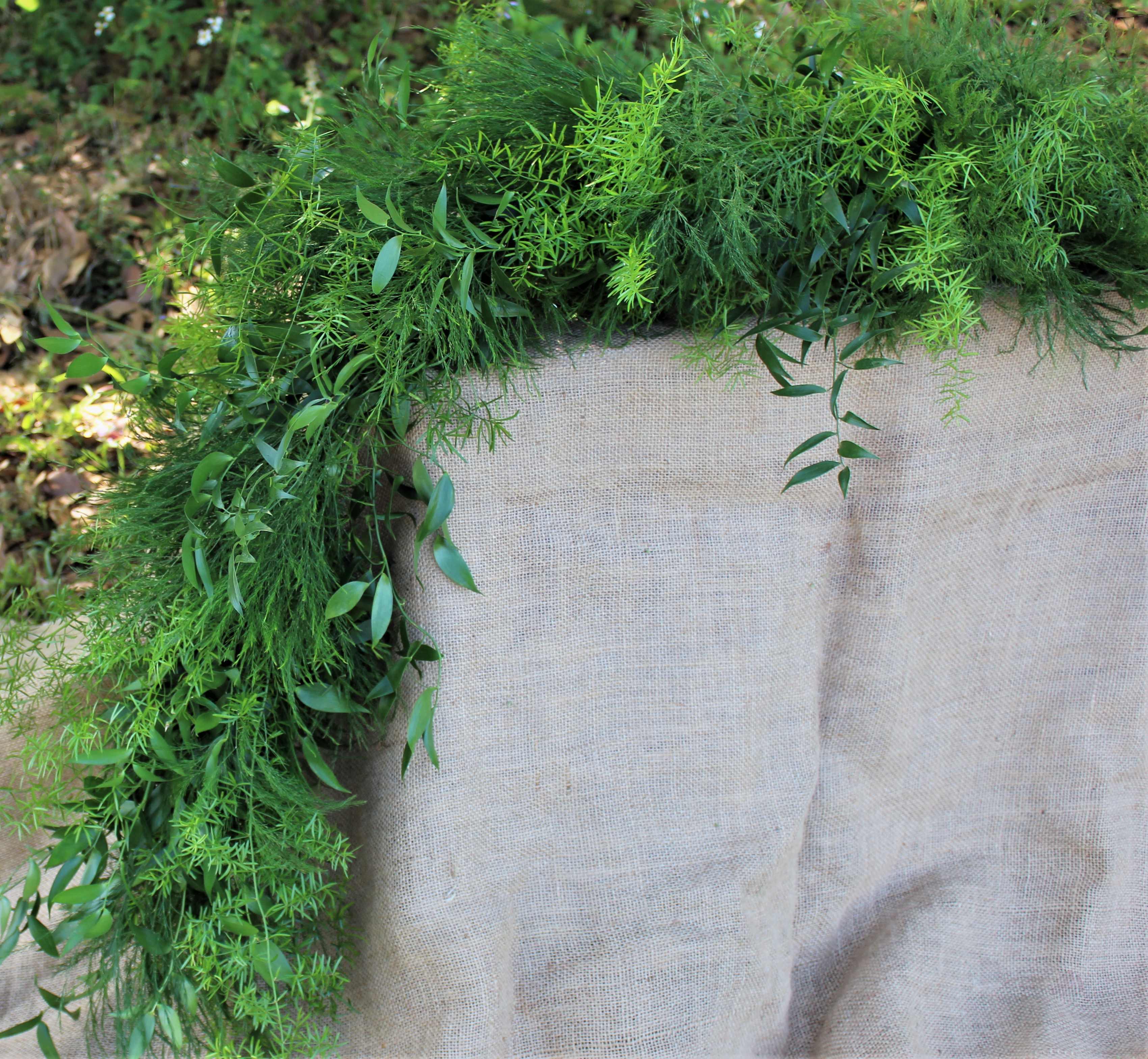 Tree Fern Italian Ruscus Garland