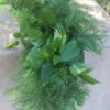 Salal, Sprengeri & Tree Fern