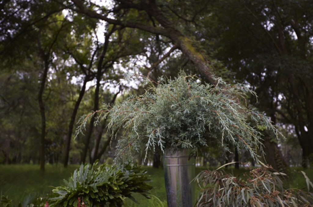 Floral Greenery in Metal Vase Outside