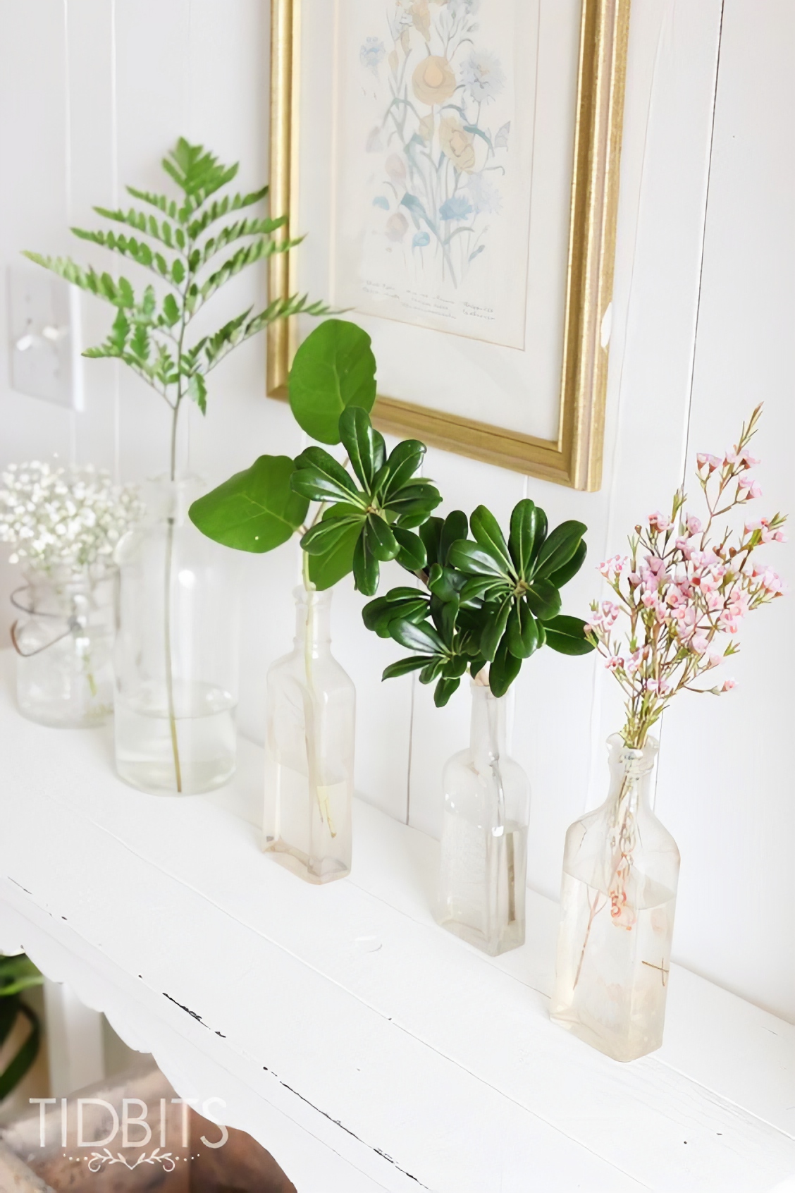 Leatherleaf, Salal, Pittosporum, and Waxflower on a white shelf