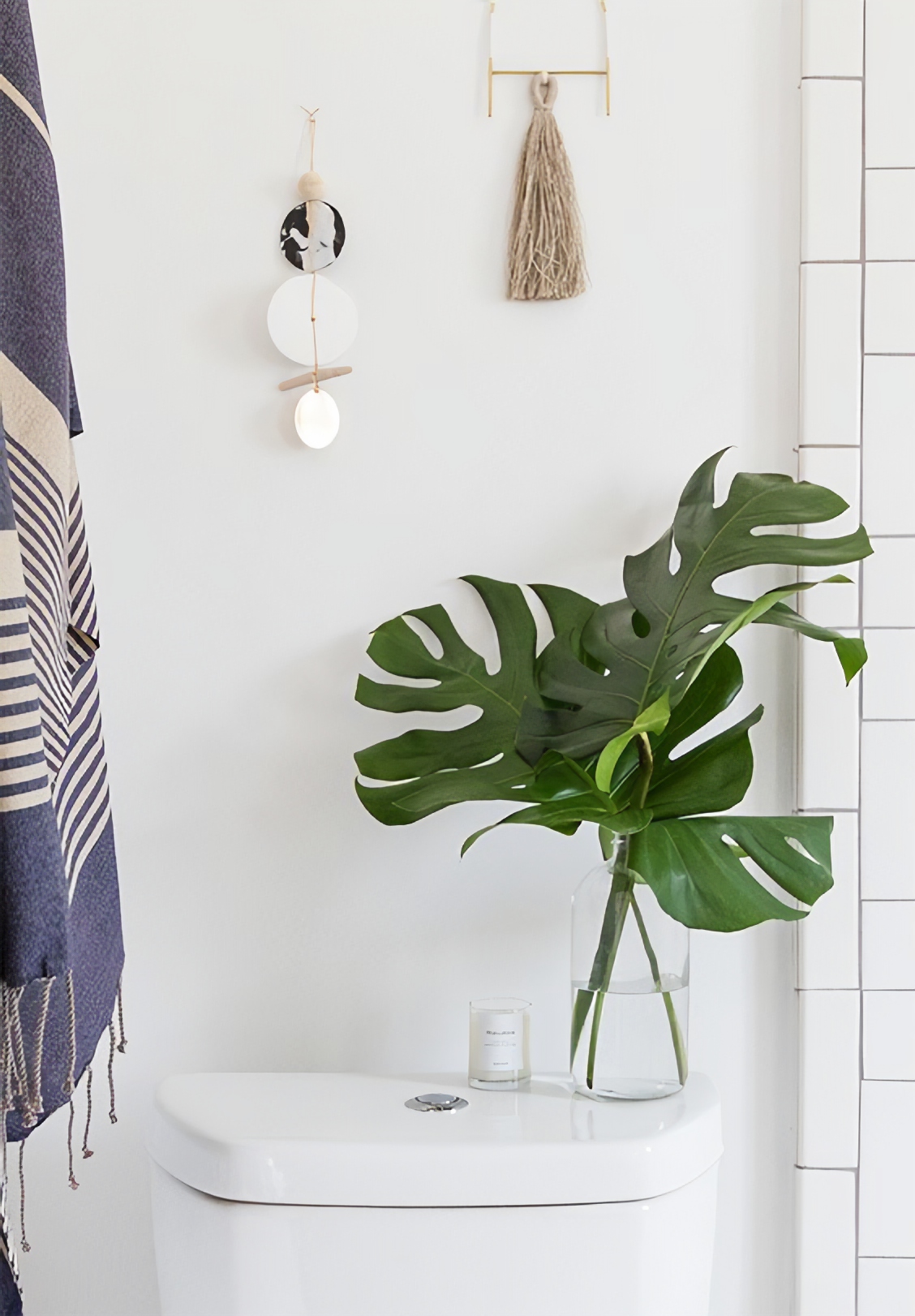 Mostera in a clear vase in a simply decorated bathroom