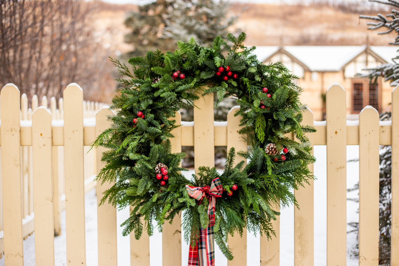 Where to Buy Fresh Christmas Wreaths & Greenery - Alpha Fern
