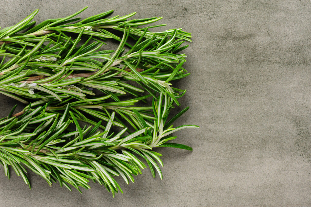 close up of rosemary branches on a table being used as filler greens for bouquets.