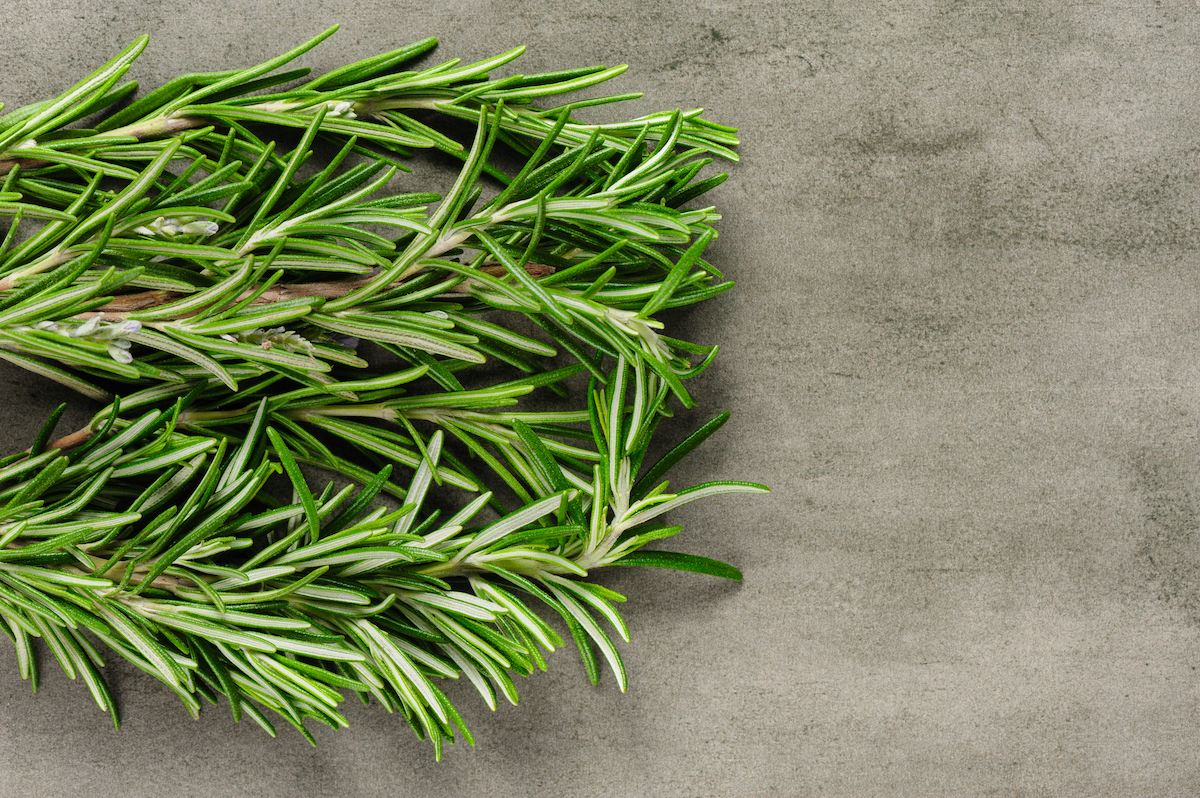 close up of rosemary branches on a table — filler greens for bouquets.