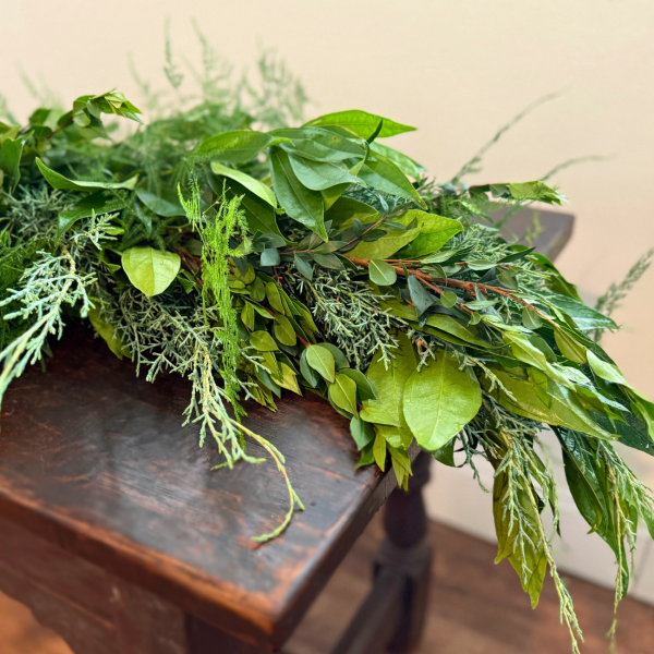 Cedar, Cocculus, Myrtle & Plumosus